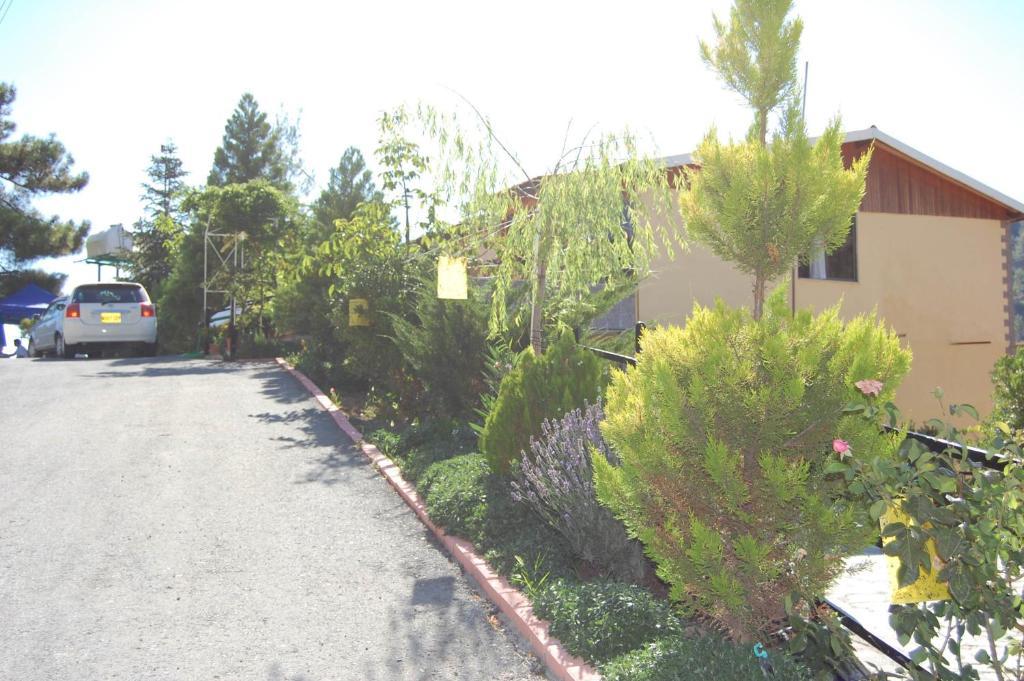 Nightingale Hotel Platres Buitenkant foto